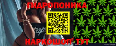 сатива Заволжье