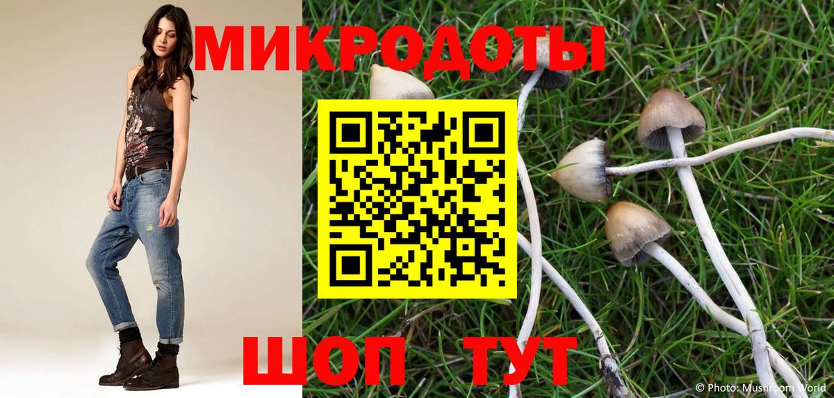 Псилоцибиновые грибы Psilocybe  где купить наркоту  Копейск  Вход с VPN 