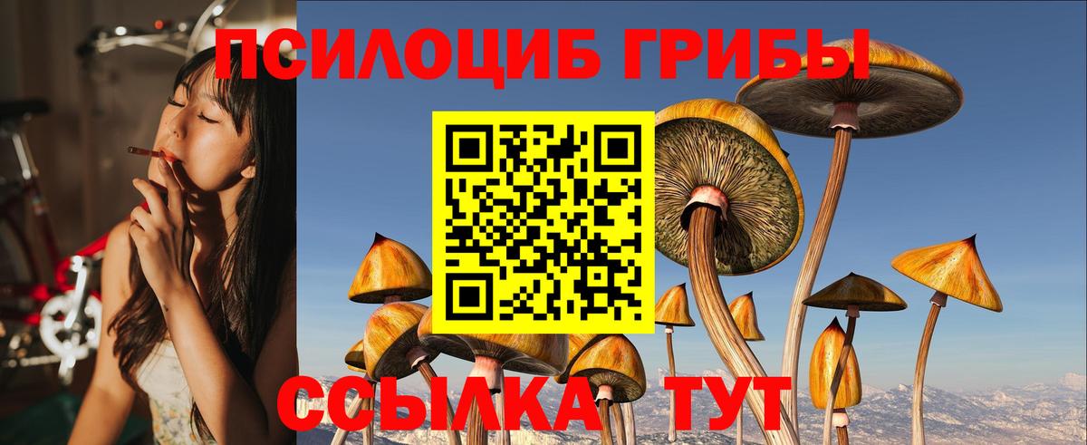 Псилоцибиновые грибы MAGIC MUSHROOMS Копейск